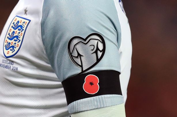 englandpoppy